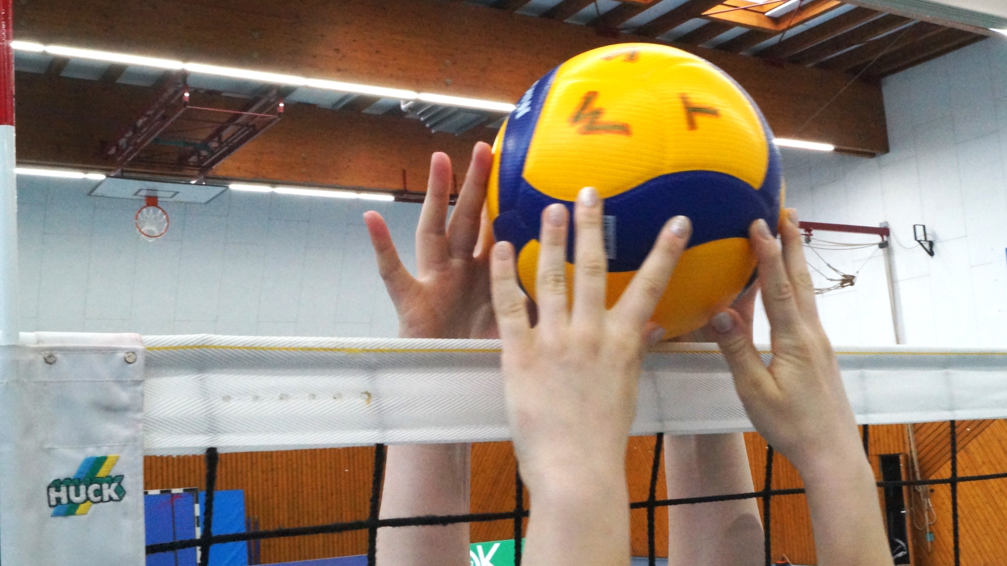 Bild zeigt eine Sporthalle, in der ein Volleyball über einem Volleyballnetz von zwei Händen berührt wird. Ball mit Bezeichnung "M T V". 